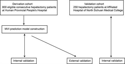 New Insights Into a Classification-Based Microvascular Invasion Prediction Model in Hepatocellular Carcinoma: A Multicenter Study